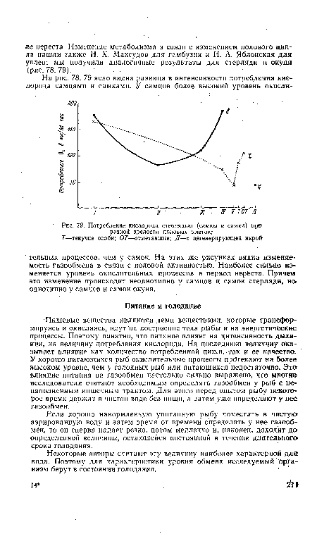 Если хорошо накормленную упитанную рыбу поместить в чистук> аэрированную воду и затем время от времени определять у нее газообмен, то он сперва падает резко, потом медленно и, наконец, доходит до определенной величины, остающейся постоянной в течение длительного срока голодания.