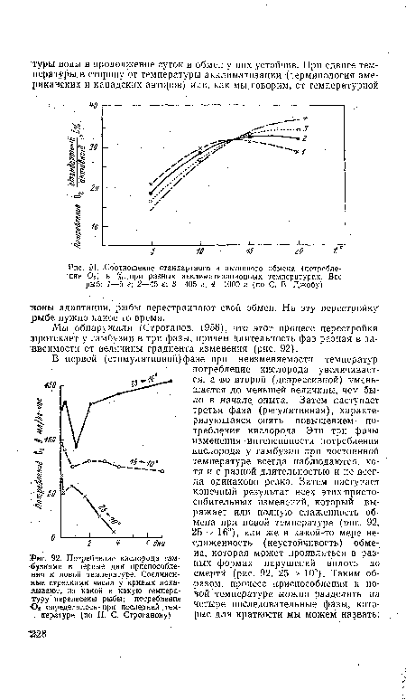 Потребление кислорода гамбузиями в первые дни приспособления к новой температуре. Соединенные стрелками числа у кривых показывают, из какой в какую температуру перенесены рыбы; потребление С>2 определялось при последней температуре (по Н. С. Строганову)
