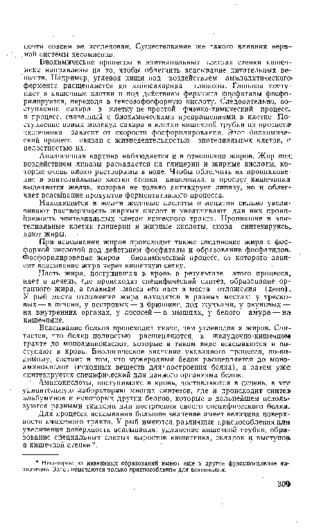 Аналогичная картина, наблюдается и в отношении жиров. Жир под; воздействием липазы распадается на глицерин и жирные кислоты, которые очень плохо растворимы в воде. Чтобы облегчить их проникновение в эпителиальные клетки стенки кишечника, в просвет кишечника выделяется желчь, которая не только активирует липазу, но и облегчает всасывание продуктов ферментативного процесса.