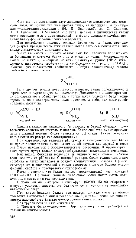 Та и другая группы могут диссоциировать, давая положительно и отрицательно заряженную аминокислоту. Диссоциация может произойти одновременно в обеих группах, и тогда такая молекула будет ионизирована, но в электрическом поле будет вести себя, как электроней-тральная молекула.