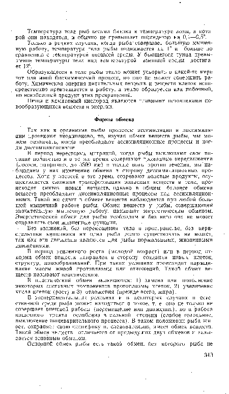 В период нерестовых миграций, когда рыбы выключают свое питание полностью и в то же время совершают громадные передвижения (лососи, например, до 3500 км) в толще воды против течения, мы наблюдаем у них изменение обмена в сторону диссимиляционных процессов. Хотя у лососей в это время созревают половые продукты, осуществляется сложная трансформация запасных веществ в теле, происходит синтез новых веществ, однако в общем балансе обмена веществ преобладают диссимиляционные процессы над ассимиляционными. Такой же сдвиг в обмене веществ наблюдается при любой большой мышечной работе рыбы. Обмен веществ у рыбы, совершающей значительную мышечную работу, называют энергетическим обменом. Энергетический обмен для рыбы необходим и без него она не может отправлять свои жизненные функции.