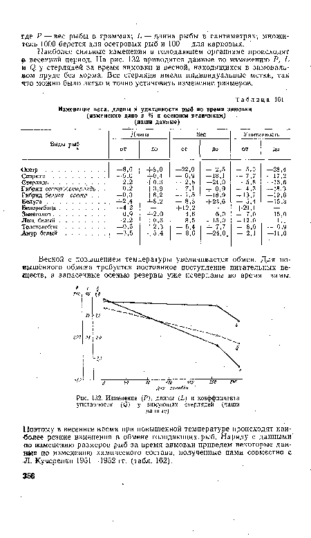 Изменение (Р), длины (Ь) и коэффициента упитанности (С) у зимующих стерлядей (чаши данные)