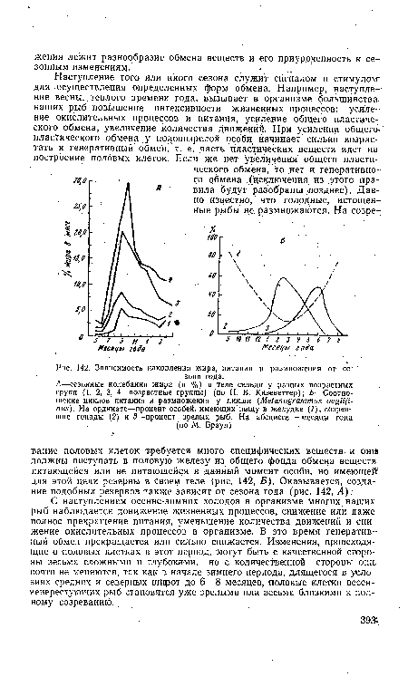 Зависимость накопления жира, питания и размножения от сезона года.