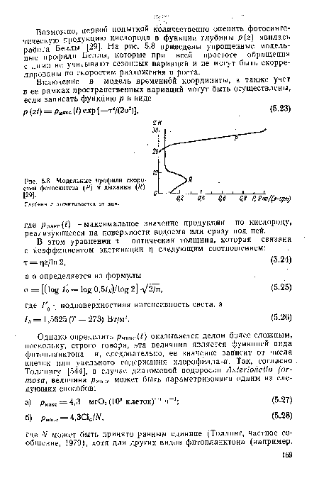 Модельные профили скоростей фотосинтеза (Р) и дыхания (R) [29].