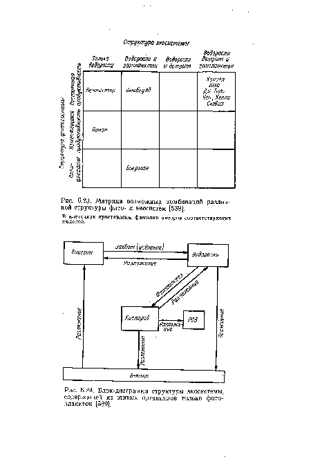 Матрица возможных комбинаций различной структуры фито- и экосистем [539].