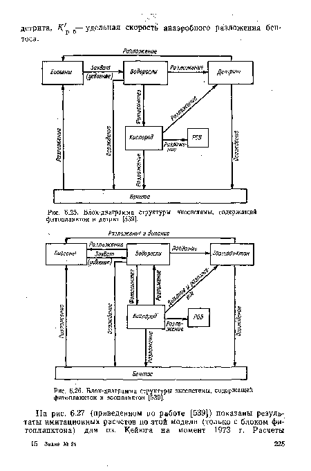 Блок-диаграмма структуры экосистемы, содержащей фитопланктон и зоопланктон [539].