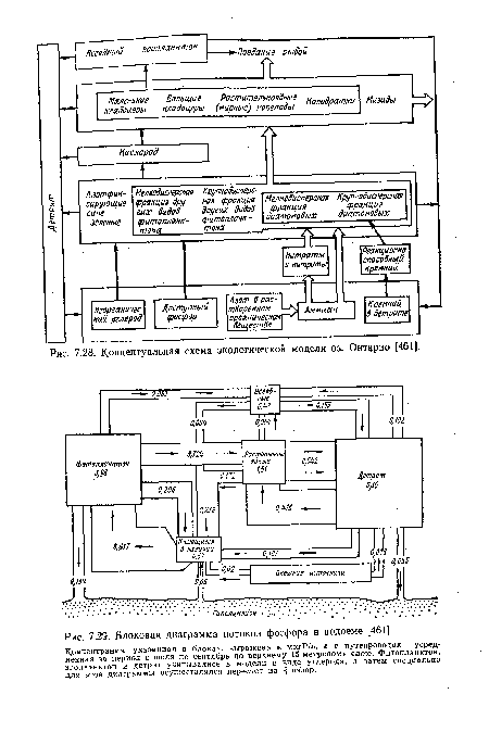 Блоковая диаграмма потоков фосфора в водоеме [461].