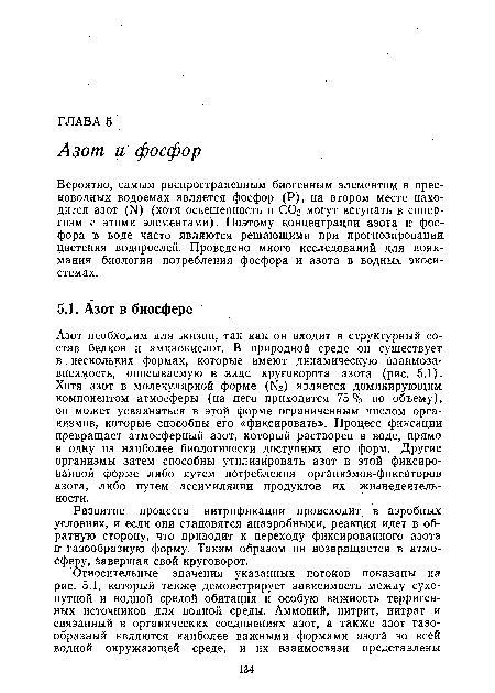 Азот необходим для жизни, так как он входит в структурный состав белков и аминокислот. В природной среде он существует в нескольких формах, которые имеют динамическую взаимозависимость, описываемую в виде круговорота азота (рис. 5.1). Хотя азот в молекулярной форме (N2) является доминирующим компонентом атмосферы (на него приходится 75% по объему), он может усваиваться в этой форме ограниченным числом организмов, которые способны его «фиксировать». Процесс фиксации превращает атмосферный азот, который растворен в воде, прямо в одну из наиболее биологически доступных его форм. Другие организмы затем способны утилизировать азот в этой фиксированной форме либо путем потребления организмов-фиксаторов азота, либо путем ассимиляции продуктов их жизнедеятельности.
