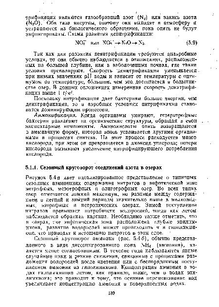 Так как для развития денитрификации требуются анаэробные условия, то она обычно наблюдается в отложениях, расположенных на большой глубине, или в заболоченных почвах, где такие условия превалируют. Скорость денитрификации уменьшается при низких значениях pH воды и зависит от температуры с оптимумом по температуре, большим, чем это достигается в большинстве озер. В донных отложениях измеренная скорость денитрификации выше 1 г/м3.