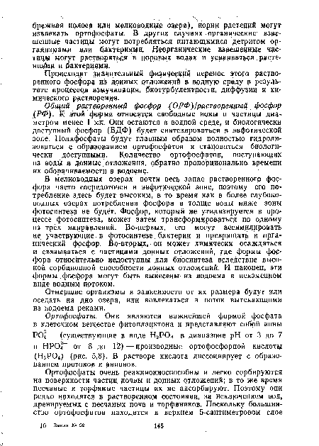 В мелководных озерах почти весь запас растворенного фосфора часто сосредоточен в эвфотической зоне, поэтому его потребление здесь будет высоким, в то время как в болеё глубоководных озерах потребления фосфора в толще воды ниже зоны фотосинтеза не будёт. Фосфор, который не утилизируется в процессе фотосинтеза, может затем трансформироваться по одному из трех направлений- Во-первых, его могут ассимилировать не участвующие в фотосинтезе бактерии и превращать в органический фосфор. Во-вторых, он может химически осаждаться и связываться с частицами донных отложений, где формы фосфора относительно недоступны для биосинтеза вследствие высокой сорбционной способности донных отложений. И наконец, эти формы фосфора могут быть вынесены из водоема в неизменном виде водным потоком.