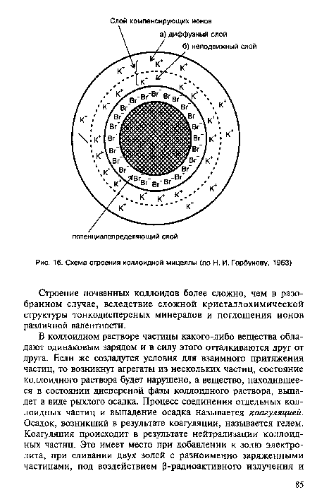 Схема строения коллоидной мицеллы (по Н. И. Горбунову, 1963)