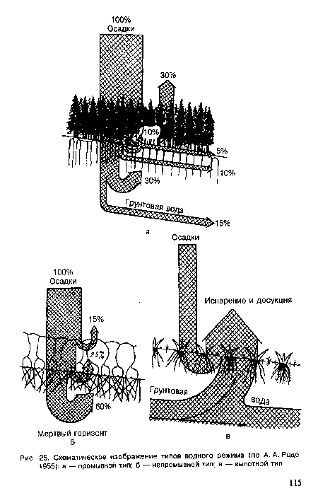 Схематическое изображение типов водного режима (по А. А. Роде, 1955)