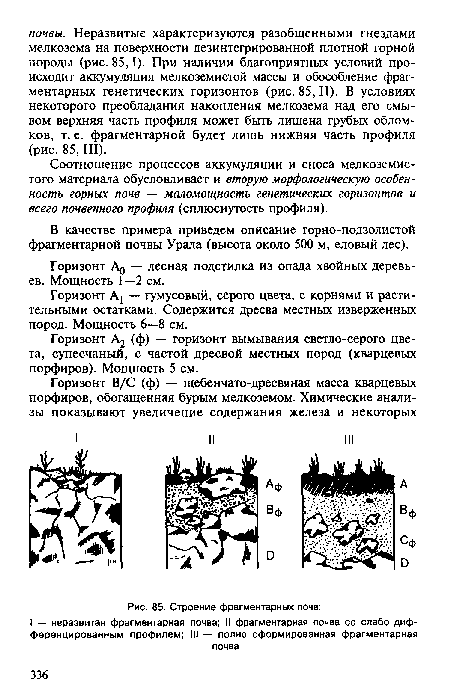 В качестве примера приведем описание горно-подзолистой фрагментарной почвы Урала (высота около 500 м, еловый лес).