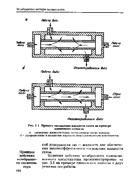 Процесс насыщения жидкости газом на примере единичного волокна