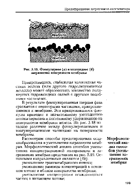 Флокулярное (а) и коллоидное (б) загрязнение поверхности мембраны