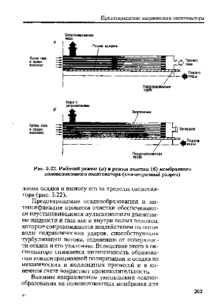 Рабочий режим (а) и режим очистки (б) мембранного половолоконного оксигенатора (симметричный разрез)
