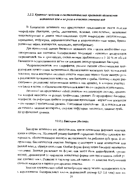 Для правильной оценки биоценоза активного ила в целом необходимо охарактеризовать как состояние бактериальных популяций - основных деструкторов загрязнителей, так и простейших, составляющих приблизительно 5-10 % от общей биомассы и осуществляющих активное поедание диспергированных бактерий.