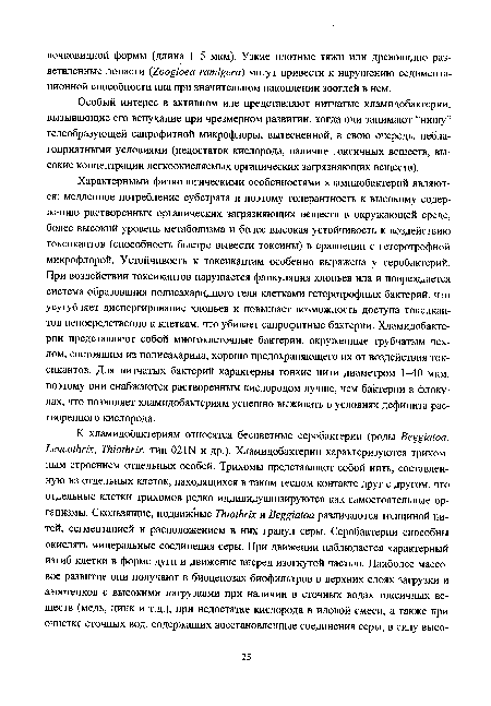 Особый интерес в активном иле представляют нитчатые хламидобактерии, вызывающие его вспухание при чрезмерном развитии, когда они занимают “нишу” гелеобразующей сапрофитной микрофлоры, вытесненной, в свою очередь, неблагоприятными условиями (недостаток кислорода, наличие токсичных веществ, высокие концентрации легкоокисляемых органических загрязняющих веществ).