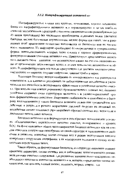 Биоценоз активного ила формируется в своеобразных экологических условиях, обеспечивающих определенное качество очистки, оговариваемое в проекте БОС. На фоне описанных общих закономерностей биоценоз активного ила на каждом очистном сооружении своеобразен по своей структуре и адаптационным свойствам и уникален, поскольку состав сточных вод и режим эксплуатации каждого конкретного сооружения специфичен, а их конструкция относится к одному из нескольких определенных типов.