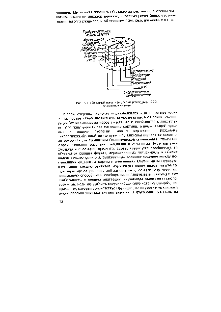 Слоеный пирог- биологии (по Одуму, 1975).