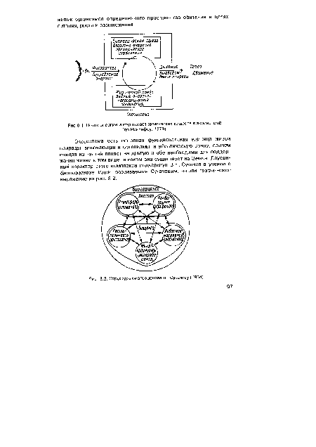 Структура биогеоценоза по Сукачеву (1964).