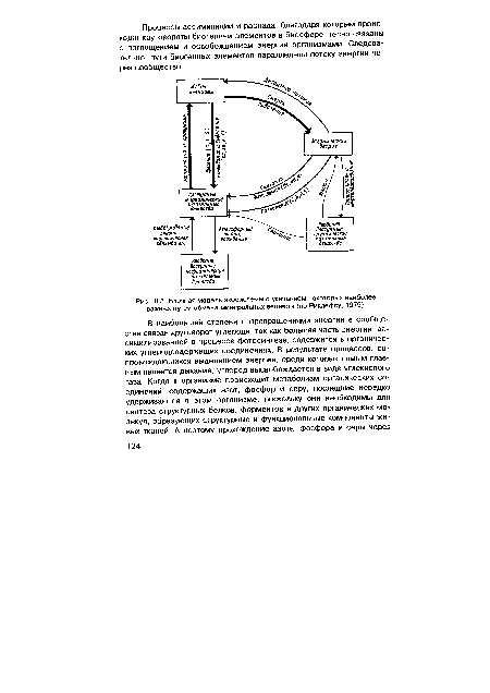 Блочная модель экосистемы с указанием некоторых наиболее важных путей обмена минеральных веществ (по Риклефсу, 1979).