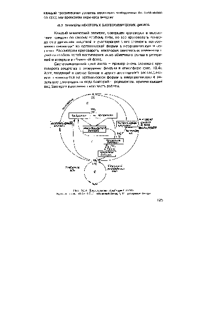 Биогеохимический цикл азота.