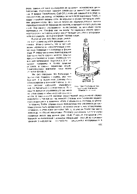 Глобальная экологическая пирамида Объяснение в тексте.