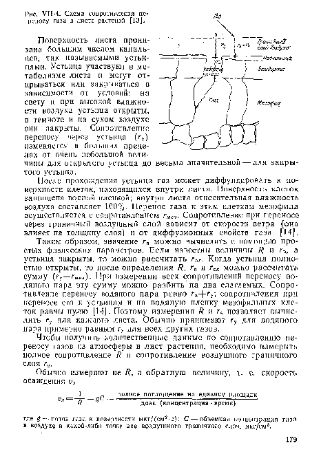 УП-4. Схема сопротивления переносу газа в листе растений [13].